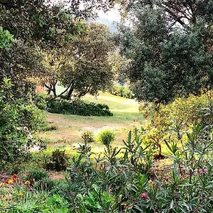 Alloggio per agriturismo Farm Gli Oleandri, Loiri Porto San Paolo